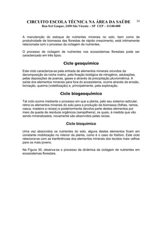 CIRCUITO ESCOLA TÉCNICA NA ÁREA DA SAÚDE
Rua frei Gaspar, 2450 São Vicente – SP CEP – 11340-000
34
A manutenção do estoque de nutrientes minerais no solo, bem como da
produtividade de biomassa das florestas de rápido crescimento, está intimamente
relacionada com o processo da ciclagem de nutrientes.
O processo de ciclagem de nutrientes nos ecossistemas florestais pode ser
caracterizado em três tipos:
Ciclo geoquímico
Este ciclo caracteriza-se pela entrada de elementos minerais oriundos da
decomposição da rocha matriz, pela fixação biológica de nitrogênio, adubações,
pelas deposições de poeiras, gases e através da precipitação pluviométrica. A
saída dos elementos minerais para fora do ecossistema, ocorre através da erosão,
lixiviação, queima (volatilização) e, principalmente, pela exploração.
Ciclo biogeoquímico
Tal ciclo ocorre mediante o processo em que a planta, pelo seu sistema radicular,
retira os elementos minerais do solo para a produção da biomassa (folhas, ramos,
casca, madeira e raízes) e posteriormente devolve parte destes elementos por
meio da queda de resíduos orgânicos (serapilheira), os quais, à medida que vão
sendo mineralizados, novamente são absorvidos pelas raízes.
Ciclo bioquímico
Uma vez absorvidos os nutrientes do solo, alguns destes elementos ficam em
constante mobilização no interior da planta, como é o caso do fósforo. Este ciclo
relaciona-se com as tranferências dos elementos minerais dos tecidos mais velhos
para os mais jovens.
Na Figura 30, observa-se o processo da dinâmica da ciclagem de nutrientes em
ecossistemas florestais.
 