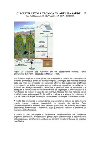 CIRCUITO ESCOLA TÉCNICA NA ÁREA DA SAÚDE
Rua frei Gaspar, 2450 São Vicente – SP CEP – 11340-000
35
Figura 30 Ciclagem dos nutrientes em um ecossistema florestal. Fonte:
SCHUMACHER (1995) adaptado de MILLER (1984).
Nas florestas tropicais e subtropicais com solos velhos, onde a decomposição dos
minerais primários já é mais ou menos completa, a nutrição das florestas depende
cada vez mais da circulação de nutrientes através das substâncias orgânicas.
Logo, quando se realiza um corte raso ou queima de capoeiras, capoeirões e ou
florestas em estágio secundário, destrói-se a principal fonte de nutrientes que
assegura a continuidade do desenvolvimento da vegetação. A mineralização e a
humificação se tornam a base do ciclo nutritivo. Nessas florestas naturais há um
equilíbrio entre a decomposição da matéria orgânica e a retirada de nutrientes, já
que não há extração por exploração nem maiores perdas por lixiviação ou erosão.
A morte dos produtores e consumidores proporcionam o retorno ao solo de uma
grande massa orgânica, constituindo a camada de detritos. Essa
camada/serapilheira alimenta uma grande quantidade de animais saprófagos,
destacando lumbricóides - minhocas, cuja quantidade constitui a essência da
fauna dos solos florestais.
A fauna do solo decompõe a serapilheira, transformando-a em compostos
orgânicos complexos, metabolizados pelos fungos actinomicetos e bactérias que,
pela respiração, transformam o dióxido de carbono em alimento para os vegetais
clorofilados.
 