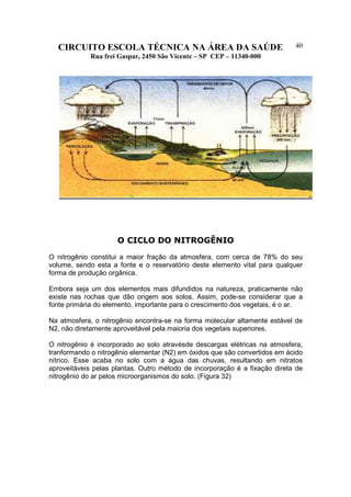 CIRCUITO ESCOLA TÉCNICA NA ÁREA DA SAÚDE
Rua frei Gaspar, 2450 São Vicente – SP CEP – 11340-000
40
O CICLO DO NITROGÊNIO
O nitrogênio constitui a maior fração da atmosfera, com cerca de 78% do seu
volume, sendo esta a fonte e o reservatório deste elemento vital para qualquer
forma de produção orgânica.
Embora seja um dos elementos mais difundidos na natureza, praticamente não
existe nas rochas que dão origem aos solos. Assim, pode-se considerar que a
fonte primária do elemento, importante para o crescimento dos vegetais, é o ar.
Na atmosfera, o nitrogênio encontra-se na forma molecular altamente estável de
N2, não diretamente aproveitável pela maioria dos vegetais superiores.
O nitrogênio é incorporado ao solo atravésde descargas elétricas na atmosfera,
tranformando o nitrogênio elementar (N2) em óxidos que são convertidos em ácido
nítrico. Esse acaba no solo com a água das chuvas, resultando em nitratos
aproveitáveis pelas plantas. Outro método de incorporação é a fixação direta de
nitrogênio do ar pelos microorganismos do solo. (Figura 32)
 