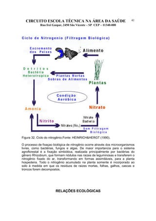 CIRCUITO ESCOLA TÉCNICA NA ÁREA DA SAÚDE
Rua frei Gaspar, 2450 São Vicente – SP CEP – 11340-000
41
Figura 32. Ciclo do nitrogênio.Fonte: HEINRICH&HERGT (1990).
O processo de fixaçao biológica de nitrogênio ocorre através dos microorganismos
livres, como bactérias, fungos e algas. De maior importancia para o sistema
agroflorestal é a fixação simbiótica, realizada principalmente por bactérias do
gênero Rhizobium, que formam nódulos nas raizes de leguminosas e transferem o
nitrogênio fixado do ar, transformando em formas assimiláveis, para a planta
hospedeira. Todo o nitrogênio acumulado na planta somente é incorporado ao
solo à medida em que os residuos de raizes mortas, folhas, galhos, cascas e
troncos forem decompostos.
RELAÇÕES ECOLÓGICAS
 