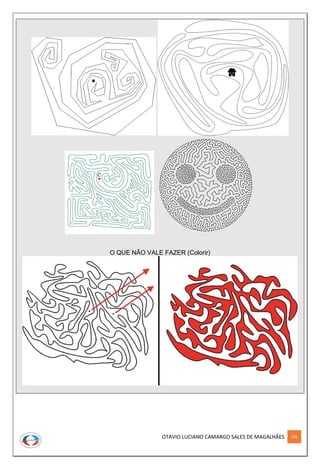 OTÁVIO LUCIANO CAMARGO SALES DE MAGALHÃES 276
O QUE NÃO VALE FAZER (Colorir)
 