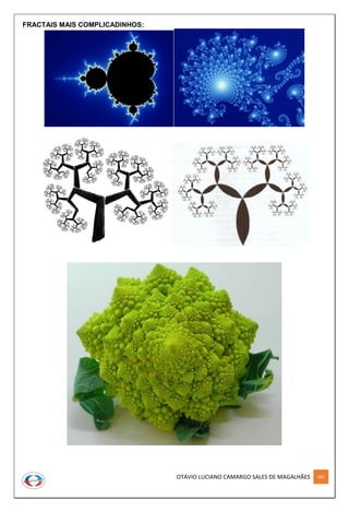 OTÁVIO LUCIANO CAMARGO SALES DE MAGALHÃES 283
FRACTAIS MAIS COMPLICADINHOS:
 