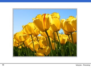 79 Seleções – Photoshop
 