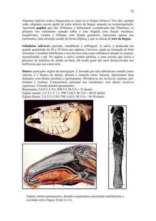32

Algumas espécies usam a língua para se coçar ou se limpar (felinos). Nos cães, quando
estão ofegantes ocorre perda de calor através da língua, atuando na termorregulação.
Apresenta papilas que são: filiformes e lenticulares (cornificação das filiformes, só
presente nos ruminantes estando sobre o toro lingual) com função mecânica;
fungiformes, valadas e folhadas com função gustatória. Apresenta, apenas nos
ruminantes, uma elevação caudal de forma elíptica, o que se chama de toro da língua.

Glândulas salivares: parótida, mandibular e sublingual. A saliva é produzida em
grande quantidade de 40 a 50 litros nos eqüinos e bovinos, ajuda na formação do bolo
alimentar, é também lubrificante e nos bovinos atua como substância tampão no rumem,
neutralizando o ph. No eqüino a saliva contém ptialina, é uma enzima que inicia o
processo de hidrólise do amido na boca. De modo geral são mais desenvolvidas nos
herbívoros que nos carnívoros.

Dentes: principais órgãos da mastigação. É formado por três substâncias esmalte (mais
externa, é o branco do dente), dentina e cemento (mais interna). Apresentam duas
dentições com dentes decíduos e permanentes. Dividem-se em incisivos, caninos, pré-
molares e molares. Característica principal nos ruminantes: sem dentes incisivos
superiores. Fórmula dentária permanente:
Ruminantes 2 (I 0/3, C 0/1, PM 3/3, M 3/3) = 32 dentes.
Eqüino macho: 2 (I 3/3, C 1/1, PM 3 (4)/3, M 3/3) = 40-42 dentes
Eqüino fêmea: 2 (I 3/3, C 0/0, PM 3 (4)/3, M 3/3) = 36-38 dentes
Suíno: 2 (I 3/3, C 1/1, PM 4/4, M 3/3) = 44 dentes




   Eqüino: dentes permanentes, desenho esquemático mostrando medialmente a
   cavidade oral e língua. Fonte 6 e 12.
 