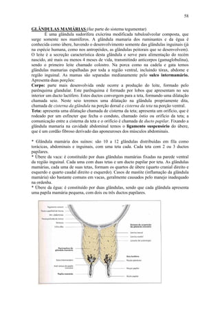 58

GLÂNDULAS MAMÁRIAS (faz parte do sistema tegumentar)
        É uma glândula sudorífera exócrina modificada tubuloalveolar composta, que
surge somente nos mamíferos. A glândula mamaria dos ruminantes e da égua é
conhecida como úbere, havendo o desenvolvimento somente das glândulas inguinais (já
na espécie humana, como nos antropóides, as glândulas peitorais que se desenvolvem).
O leite é a secreção característica desta glândula e serve para alimentação do recém
nascido, até mais ou menos 4 meses de vida, transmitindo anticorpos (gamaglobulina),
sendo o primeiro leite chamado colostro. Na porca como na cadela e gata temos
glândulas mamarias espalhadas por toda a região ventral, incluindo tórax, abdome e
região inguinal. As mamas são separadas medianamente pelo sulco intermamário.
Apresenta duas porções:
Corpo: parte mais desenvolvida onde ocorre a produção do leite, formado pelo
parênquima glandular. Este parênquima é formado por lobos que apresentam no seu
interior um ducto lactífero. Estes ductos convergem para a teta, formando uma dilatação
chamada seio. Neste seio teremos uma dilatação na glândula propriamente dita,
chamada de cisterna da glândula na porção dorsal e cisterna da teta na porção ventral.
Teta: apresenta uma dilatação chamada de cisterna da teta; apresenta um orifício, que é
rodeado por um esfíncter que fecha o conduto, chamado óstio ou orifício da teta; a
comunicação entre a cisterna da teta e o orifício é chamada de ducto papilar. Fixando a
glândula mamaria na cavidade abdominal temos o ligamento suspensório do úbere,
que é um cordão fibroso derivado das aponeuroses dos músculos abdominais.

* Glândula mamária dos suínos: são 10 a 12 glândulas distribuídas em fila como
torácicas, abdominais e inguinais, com uma teta cada. Cada teta com 2 ou 3 ductos
papilares.
* Úbere da vaca: é constituído por duas glândulas mamárias fixadas na parede ventral
da região inguinal. Cada uma com duas tetas e um ducto papilar por teta. As glândulas
mamárias, cada uma de suas tetas, formam os quartos de úbere (quarto cranial direito e
esquerdo e quarto caudal direito e esquerdo). Casos de mastite (inflamação da glândula
mamária) são bastante comuns em vacas, geralmente causados pelo manejo inadequado
na ordenha.
* Úbere da égua: é constituído por duas glândulas, sendo que cada glândula apresenta
uma papila mamária pequena, com dois ou três ductos papilares.
 