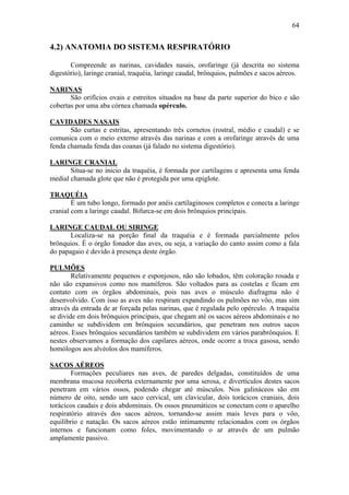64


4.2) ANATOMIA DO SISTEMA RESPIRATÓRIO

       Compreende as narinas, cavidades nasais, orofaringe (já descrita no sistema
digestório), laringe cranial, traquéia, laringe caudal, brônquios, pulmões e sacos aéreos.

NARINAS
       São orifícios ovais e estreitos situados na base da parte superior do bico e são
cobertas por uma aba córnea chamada opérculo.

CAVIDADES NASAIS
       São curtas e estritas, apresentando três cornetos (rostral, médio e caudal) e se
comunica com o meio externo através das narinas e com a orofaringe através de uma
fenda chamada fenda das coanas (já falado no sistema digestório).

LARINGE CRANIAL
       Situa-se no inicio da traquéia, é formada por cartilagens e apresenta uma fenda
medial chamada glote que não é protegida por uma epiglote.

TRAQUÉIA
        É um tubo longo, formado por anéis cartilaginosos completos e conecta a laringe
cranial com a laringe caudal. Bifurca-se em dois brônquios principais.

LARINGE CAUDAL OU SIRINGE
       Localiza-se na porção final da traquéia e é formada parcialmente pelos
brônquios. É o órgão fonador das aves, ou seja, a variação do canto assim como a fala
do papagaio é devido à presença deste órgão.

PULMÕES
        Relativamente pequenos e esponjosos, não são lobados, têm coloração rosada e
não são expansivos como nos mamíferos. São voltados para as costelas e ficam em
contato com os órgãos abdominais, pois nas aves o músculo diafragma não é
desenvolvido. Com isso as aves não respiram expandindo os pulmões no vôo, mas sim
através da entrada de ar forçada pelas narinas, que é regulada pelo opérculo. A traquéia
se divide em dois brônquios principais, que chegam até os sacos aéreos abdominais e no
caminho se subdividem em brônquios secundários, que penetram nos outros sacos
aéreos. Esses brônquios secundários também se subdividem em vários parabrônquios. E
nestes observamos a formação dos capilares aéreos, onde ocorre a troca gasosa, sendo
homólogos aos alvéolos dos mamíferos.

SACOS AÉREOS
        Formações peculiares nas aves, de paredes delgadas, constituídos de uma
membrana mucosa recoberta externamente por uma serosa, e divertículos destes sacos
penetram em vários ossos, podendo chegar até músculos. Nos galináceos são em
número de oito, sendo um saco cervical, um clavicular, dois torácicos craniais, dois
torácicos caudais e dois abdominais. Os ossos pneumáticos se conectam com o aparelho
respiratório através dos sacos aéreos, tornando-se assim mais leves para o vôo,
equilíbrio e natação. Os sacos aéreos estão intimamente relacionados com os órgãos
internos e funcionam como foles, movimentando o ar através de um pulmão
amplamente passivo.
 