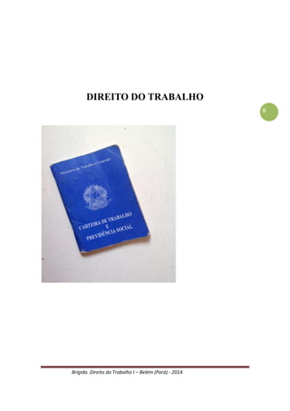 Brígido. Direito do Trabalho I – Belém (Pará) - 2014 
0 
DIREITO DO TRABALHO 
INTRODUÇÃO 
 