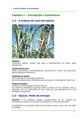 A Usina de Açúcar e sua Automação




Capítulo 1 – Introdução e Estatísticas

1.1 - A origem da cana-de-açúcar




ORIGEM:
Continente Asiático, trazida logo após o descobrimento do Brasil, pelos
portugueses.

CARACTERÍSTICAS:
Planta semi-perene, monocotiledônica, pertencente á família das gramíneas,
gênero Sacharum officinarum.

PERÍODO DE SAFRA:
150 a 180 dias nas condições brasileiras.
Em outros países como a Colômbia a cana-de-açúcar é produzida em todo o ano.

PRODUTIVIDADE:
No Brasil a produtividade é de 60 á 100 t/ha.
Os melhores rendimentos agrícolas estão na África do Sul, Austrália, Peru e
Colômbia, com um rendimento de 110 á 160 t/ha, que resultará em 15 á 22
toneladas de açúcar/ha.

1.2 - Açúcar, fonte de energia
AÇÚCAR é um adoçante extraído industrialmente de um vegetal                 que
normalmente contém um alto teor de carboidrato na forma de Sacarose.

O carboidrato é o principal constituinte de todos os seres vivos e são sua fonte
de energia.

                                                                            3
 