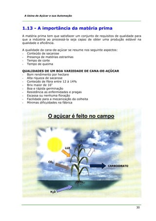 A Usina de Açúcar e sua Automação




1.13 - A importância da matéria prima
A matéria prima tem que satisfazer um conjunto de requisitos de qualidade para
que a indústria ao processá-la seja capaz de obter uma produção estável na
qualidade e eficiência.

A   qualidade da cana-de-açúcar se resume nos seguinte aspectos:
-    Conteúdo de sacarose
-    Presença de matérias estranhas
-    Tempo de corte
-    Tempo de queima

QUALIDADES DE UM BOA VARIEDADE DE CANA-DE-AÇÚCAR
- Bom rendimento por hectare
- Alta riqueza de sacarose
- Conteúdo de fibra entre 12 à 14%
- Brix maior de 16o
- Boa e rápida germinação
- Resistência as enfermidades e pragas
- Escassa ou nenhuma floração
- Facilidade para a mecanização da colheita
- Mínimas dificuldades na fábrica




                                                                          30
 