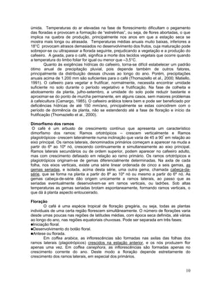 úmida. Temperaturas do ar elevadas na fase de florescimento dificultam o pegamento
das floradas e provocam a formação de “estrelinhas”, ou seja, de flores abortadas, o que
implica na quebra de produção, principalmente nos anos em que a estação seca se
mostra mais longa ou atrasada. Temperaturas médias anuais muito baixas, inferiores a
18°C provocam atrasos demasiados no desenvolvimento dos frutos, cuja maturação pode
sobrepor-se ou ultrapassar a florada seguinte, prejudicando a vegetação e a produção do
cafeeiro. A geada, para o café, significa a morte dos tecidos vegetais que ocorre quando
a temperatura do limbo foliar for igual ou menor que –3,5°C.
Quanto às exigências hídricas do cafeeiro, torna-se difícil estabelecer um padrão
ótimo anual de precipitação pluvial, pois depende também de outros fatores,
principalmente da distribuição dessas chuvas ao longo do ano. Porém, precipitações
anuais acima de 1.200 mm são suficientes para o café (Thomaziello et al., 2000; Matiello,
1991). O cafeeiro para vegetar e frutificar, normalmente, necessita encontrar umidade
suficiente no solo durante o período vegetativo e frutificação. Na fase de colheita e
abotoamento da planta, julho-setembro, a umidade do solo pode reduzir bastante e
aproximar-se do ponto de murcha permanente, em alguns casos, sem maiores problemas
à cafeicultura (Camargo, 1985). O cafeeiro arábica tolera bem e pode ser beneficiado por
deficiências hídricas de até 150 mm/ano, principalmente se estas coincidirem com o
período de dormência da planta, não se estendendo até a fase de floração e início da
frutificação (Thomaziello et al., 2000).
Dimorfismo dos ramos
O café é um arbusto de crescimento contínuo que apresenta um característico
dimorfismo dos ramos: Ramos ortotrópicos – crescem verticalmente e Ramos
plagiotrópicos- crescem lateralmente numa inclinação que varia de 45 a 90º em relação ao
eixo principal. Os ramos laterais, denominados primários começam a aparecer na muda a
partir do 6º ao 10º nó, crescendo continuamente e simultaneamente ao eixo principal.
Ramos laterais secundários ou de ordem superior, podem aparecer no cafeeiro adulto,
mas com crescimento defasado em relação ao ramo primário. Os ramos ortotrópicos e
plagiotrópicos originam-se de gemas diferencialmente determinadas. Na axila de cada
folha, nos eixos verticais, existe uma série linear ordenada de cinco a seis gemas, as
gemas seriadas, e isolada, acima desta série, uma outra gema, chamada cabeça-dasérie, que se forma na planta a partir do 8º ao 10º nó ou mesmo a partir do 6º nó. As
gemas cabeça-de-série dão origem unicamente a ramos laterais, ao passo que as
seriadas eventualmente desenvolvem-se em ramos verticais, ou ladrões. Sob altas
temperaturas as gemas seriadas brotam espontaneamente, formando ramos verticais, o
que dá à planta aspecto entouceirado.
Floração
O café é uma espécie tropical de floração gregária, ou seja, todas as plantas
individuais de uma certa região florescem simultâneamente. O número de florações varia
desde umas poucas nas regiões de latitudes médias, com época seca definida, até várias
ao longo do ano, nas regiões equatoriais chuvosas. Pode ser separada em três fases:
Iniciação floral.
Desenvolvimento do botão floral.
Antese ou florada.
Em coffea arabica, as inflorescências são formadas nas axilas das folhas dos
ramos laterais (plagiotrópicos) crescidos na estação anterior, e os nós produzem flor
apenas uma vez. Em coffea canephora, as inflorescências são formadas apenas no
crescimento corrente do ano. Deste modo a floração depende estreitamente do
crescimento dos ramos laterais, em especial dos primários.

10

 