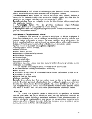 Controle cultural: É feito através de capinas oportunas, adubação racional,conservação
do solo, espaçamentos adequados e uso racional de fungicidas cúpricos.
Controle biológico: Feito através de inimigos naturais do bicho mineiro: parasitas e
predadores. Os parasitas proporcionam um controle do bicho mineiro entre 18 e 35%. Os
predadores são vespas e controlam o bicho mineiro entre 33 e 69%.
Controle químico: Pode ser realizado através de dois sistemas básicos:pulverização
foliar e aplicação via solo.
a)
Pulverização foliar:
Uso de produtos inseticidas organo-fosforados,
carbamatos,derivados de uréia, piretróides ou suas misturas.
b) Aplicação via solo: Uso de produtos organofosforados ou carbamatos,formulados em
grânulos e incorporados ao solo.
BROCA DO CAFÉ Hypothenemus hampei
O inseto na fase adulta é um pequenino besouro de cor escura e brilhante. A
fêmea fecundada perfura o fruto na região da coroa até atingir a semente onde faz uma
pequena galeria onde realiza a postura. As lavras nascidas, ao se alimentarem, vão
destruir parcial ou totalmente a semente. A broca ataca o grão do café em vários estádios
de desenvolvimento: preferencialmente o verde (chumbão), o maduro e o seco.
Algumas condições favorecem a evolução da praga como:
a antecipação do período chuvoso,
floradas precoces,
colheita anterior mal feita,
lavouras com problemas de fechamento,
espaçamentos reduzidos,
fundos de grotas,
terrenos mais úmidos,
lavouras sombreadas,
terrenos de exposição voltada para leste ou sul e também lavouras próximas a terreiro
ou cafezais abandonados.
Os prejuízos causados pela broca podem ser assim relacionados:
Derrubada de frutos verdes (chumbinhos ou chumbões);
Perda de peso;
Depreciação do tipo do café. É proibida exportação de café com mais de 10% de broca;
Depreciação da bebida;
Redução do preço do produto;
Redução na colheita.
Controle: Uma colheita bem feita sem deixar frutos no chão e na árvore ajuda no
controle. O controle químico é feito através de duas ou três pulverizações, com intervalos
de vinte dias. Os inseticidas devem ser aplicados no período de “trânsito” da broca, ou
seja, na época em que as fêmeas abandonam os frutos remanescentes da safra anterior
para atacar os frutos da nova safra. Isto ocorre geralmente entre novembro e janeiro.
LAGARTAS
São pragas que aparecem devido a desequilíbrio na população de inimigos
naturais provocados por fatores climáticos, mau uso dos defensivos agrícolas ou
proximidade do cafezal de culturas suscetíveis ao ataque. Esses fatores promovem um
aumento substancial na população de lagartas que por sua voracidade causam grandes
prejuízos ao cafeeiro. Elas se alimentam de folhas, pontas de ramos e casca de plantas
jovens, provocando desfolha e até morte de plantas.

19

 