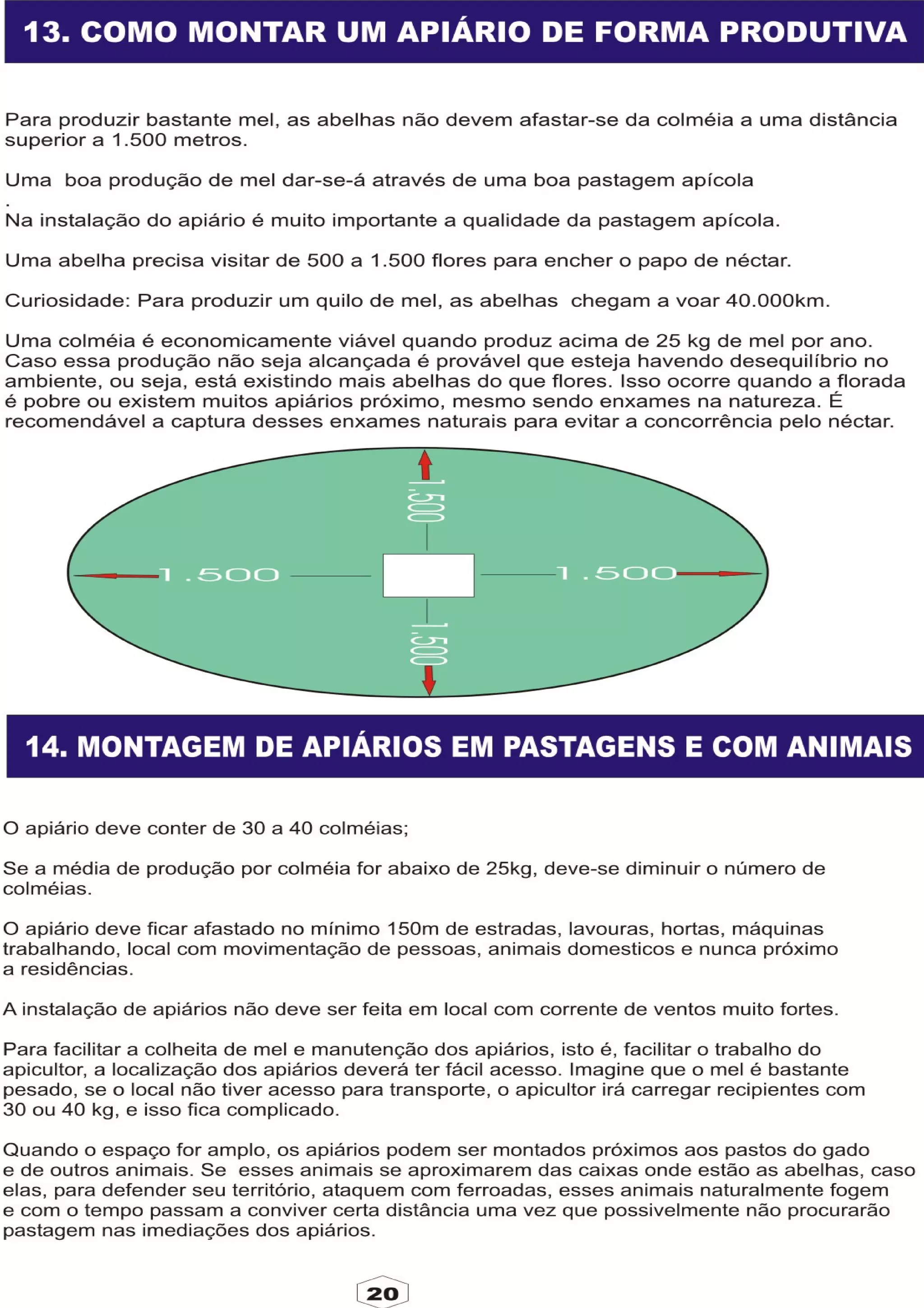 Apostila adelmo   coodapis tabira -pe