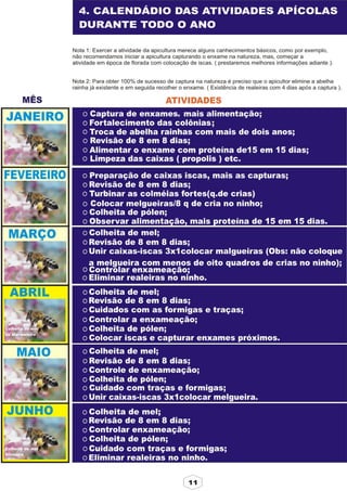 Apostila adelmo   coodapis tabira -pe