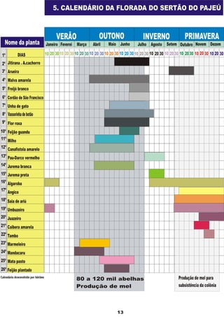 Apostila adelmo   coodapis tabira -pe
