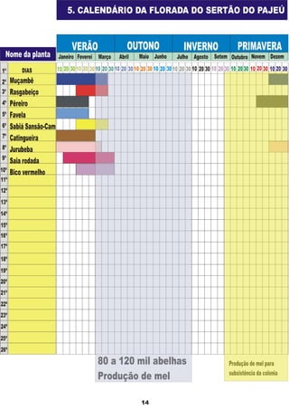 Apostila adelmo   coodapis tabira -pe