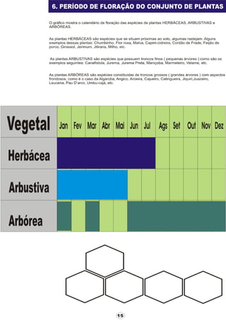 Apostila adelmo   coodapis tabira -pe