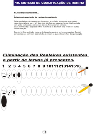 Apostila adelmo   coodapis tabira -pe
