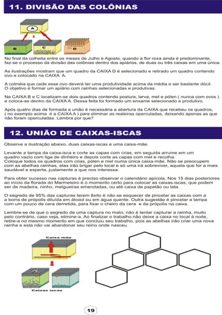 Apostila adelmo   coodapis tabira -pe
