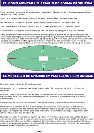 Apostila adelmo   coodapis tabira -pe