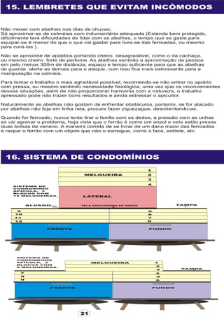 Apostila adelmo   coodapis tabira -pe
