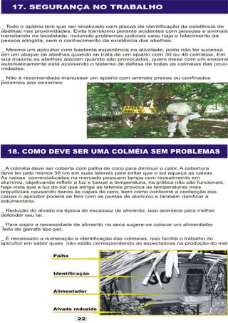 Apostila adelmo   coodapis tabira -pe