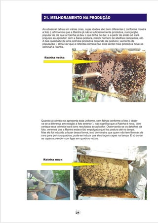 Apostila adelmo   coodapis tabira -pe