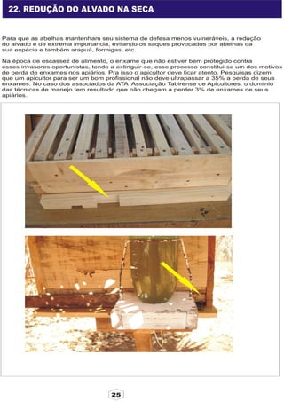 Apostila adelmo   coodapis tabira -pe