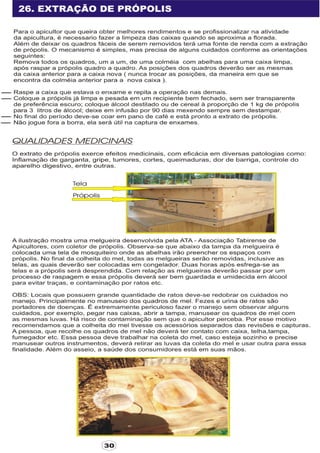 Apostila adelmo   coodapis tabira -pe