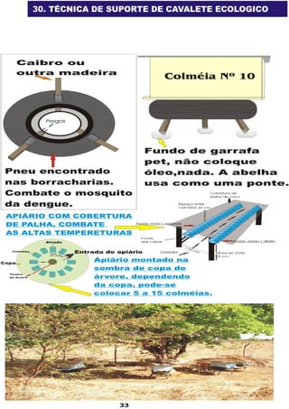 Apostila adelmo   coodapis tabira -pe