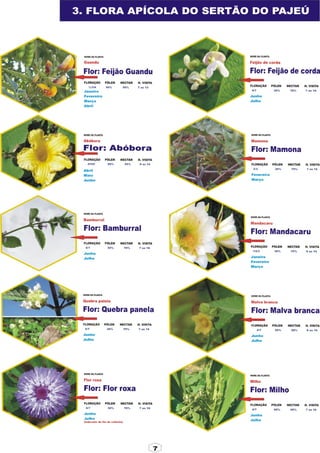 Apostila adelmo   coodapis tabira -pe