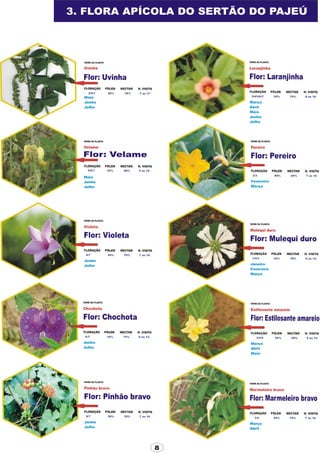 Apostila adelmo   coodapis tabira -pe