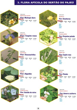 Apostila adelmo   coodapis tabira -pe