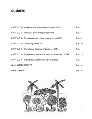 2
SUMÁRIO
CAPÍTULO 1 – Introdução aos Sistemas Agroflorestais (SAFs) Pág. 3
CAPÍTULO 2 – Vantagens e desvantagens dos SAFs Pág. 4
CAPÍTULO 3 – Sucessão vegetal e desenvolvimento dos SAFs Pág. 6
CAPÍTULO 4 – Quintais agroflorestais Pág. 10
CAPÍTULO 5 – Exemplos de Espécies utilizadas nos SAFs Pág. 11
CAPÍTULO 6 – Planejamento, execução e acompanhamento de um SAF Pag. 13
CAPÍTULO 7 – Experiências agroflorestais bem sucedidas Pág. 14
LINKS INTERESSANTES Pág. 16
BIBLIOGRAFIA Pág. 16
 