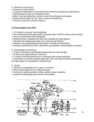 5
5 - Benefícios econômicos.
Aumenta a renda familiar;
Custos de implantação e manutenção são acessíveis aos pequenos agricultores;
Intensificação do grau de utilização da área;
Menor risco aos produtores, devido a maior diversificação da produção;
Construção de capital “em pé”, para o caso de emergências;
Diminui o custo com insumos externos;
3.2 Desvantagens dos SAFs
1 - O manejo é um pouco mais complicado.
Os conhecimentos dos agricultores e técnicos sobre os SAF’a ainda é muito limitado;
Pouco conhecimento sobre alelopatias;
Distanciamento e espaçamento deve seer decidido pra cada espécie;
Utilização de espécies que podem ser novas aos agricultores;
Requere maior capacidade de observação e maiores conhecimentos;
Os efeitos benéficos dos SAF’s dependem da qualidade e periodicidade do manejo;
2 - Desvantagens econômicas.
O custo inicial para a implantação da área pode ser mais elevado;
O retorno do capital pode ser mais lento;
O manejo incorreto pode diminuir o rendimento dos cultivos agrícolas;
Atualmente os produtos gerados pelos SAF’s têm mercados limitados (necessidade
de organização em associações e cooperativas);
3 - Outras
Aumenta a competição por luz, água e nutrientes;
Difícil mecanização com as máquinas atuais;
As árvores, quando grandes e velhas, podem causar acidentes;
Ausência de pesquisas pros cultivos consorciados;
 