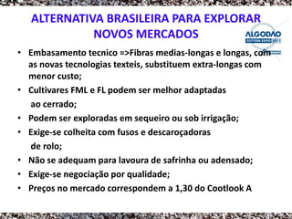 ALTERNATIVA BRASILEIRA PARA EXPLORAR
             NOVOS MERCADOS
• Embasamento tecnico =>Fibras medias-longas e longas, com
  as novas tecnologias texteis, substituem extra-longas com
  menor custo;
• Cultivares FML e FL podem ser melhor adaptadas
  ao cerrado;
• Podem ser exploradas em sequeiro ou sob irrigação;
• Exige-se colheita com fusos e descaroçadoras
  de rolo;
• Não se adequam para lavoura de safrinha ou adensado;
• Exige-se negociação por qualidade;
• Preços no mercado correspondem a 1,30 do Cootlook A
 