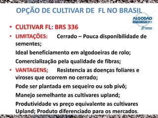 OPÇÃO DE CULTIVAR DE FL NO BRASIL

• CULTIVAR FL: BRS 336
• LIMITAÇÕES: Cerrado – Pouca disponibilidade de
  sementes;
  Ideal beneficiamento em algodoeiras de rolo;
  Comercialização pela qualidade de fibras;
• VANTAGENS; Resistencia as doenças foliares e
  viroses que ocorrem no cerrado;
  Pode ser plantada em sequeiro ou sob pivô;
  Manejo semelhante as cultivares upland;
  Produtividade vs preço equivalente as cultivares
  Upland; Produto diferenciado para os mercados.
 