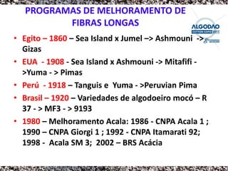 PROGRAMAS DE MELHORAMENTO DE
         FIBRAS LONGAS
• Egito – 1860 – Sea Island x Jumel –> Ashmouni ->
  Gizas
• EUA - 1908 - Sea Island x Ashmouni -> Mitafifi -
  >Yuma - > Pimas
• Perú - 1918 – Tanguis e Yuma - >Peruvian Pima
• Brasil – 1920 – Variedades de algodoeiro mocó – R
  37 - > MF3 - > 9193
• 1980 – Melhoramento Acala: 1986 - CNPA Acala 1 ;
  1990 – CNPA Giorgi 1 ; 1992 - CNPA Itamarati 92;
  1998 - Acala SM 3; 2002 – BRS Acácia
 