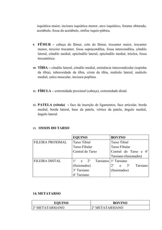 isquiática maior, incisura isquiática menor, arco isquiático, forame obturado,
      acetábulo, fossa do acetábulo, sínfise ísquio-púbica.


9.    FÊMUR – cabeça do fêmur, colo do fêmur, trocanter maior, trocanter
      menor, terceiro trocanter, fossa supracondílea, fossa intercondílea, côndilo
      lateral, côndilo medial, epicôndilo lateral, epicôndilo medial, tróclea, fossa
      trocantérica.

10.   TÍBIA – côndilo lateral, côndilo medial, eminência intercondicular (espinha
      da tíbia), tuberosidade da tíbia, crista da tíbia, maléolo lateral, maléolo
      medial, sulco muscular, incisura poplítea.


11.   FÍBULA – extremidade proximal (cabeça), extremidade distal.


12.   PATELA (rótula) - face da inserção de ligamentos, face articular, borda
      medial, borda lateral, base da patela, vértice da patela, ângulo medial,
      ângulo lateral.


13.    OSSOS DO TARSO

                               EQUINO                       BOVINO
FILEIRA PROXIMAL               Tarso Tibial                 Tarso Tibial
                               Tarso Fibular                Tarso Fibular
                               Central do Tarso             Central do Tarso e 4o
                                                            Tarsiano (fusionados)
FILEIRA DISTAL                 1o e 2o            Tarsianos 1o Tarsiano
                               (fusionados)                 2o    e    3o    Tarsiano
                               3o Tarsiano                  (fusionados)
                               4o Tarsiano




14. METATARSO

         EQUINO                                        BOVINO
 o                                            o
2 METATARSIANO                                2 METATARSIANO
 