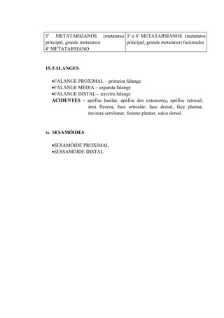 3o METATARSIANOS (metatarso 3o e 4o METATARSIANOS (metatarso
principal, grande metatarso) principal, grande metatarso) fusionados
 o
4 METATARSIANO


15. FALANGES

      •FALANGE PROXIMAL – primeira falange
      •FALANGE MÉDIA – segunda falange
      •FALANGE DISTAL – terceira falange
      ACIDENTES – apófise basilar, apófise dos extensores, apófise retrosal,
                   área flexora, face articular, face dorsal, face plantar,
                   incisura semilunar, forame plantar, sulco dorsal.


16.   SESAMÓIDES

      •SESAMÓIDE PROXIMAL
      •SESSAMÓIDE DISTAL
 