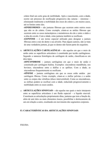 crânio fetal um certo grau de mobilidade. Após o nascimento, com a idade,
     ocorre um processo de ossificação progressiva das suturas – sinostose –
     eliminando totalmente a mobilidade dos ossos do crânio e, em muitos casos,
     até os limites entre eles.
     •SINDESMOSES – são junturas fibrosas que ocorrem entre outros ossos
     que não os do crânio. Como exemplo, citam-se as uniões fibrosas que
     ocorrem entre os ossos metacárpicos e metatársicos do cão e entre o rádio e
     a ulna do cavalo. Com a idade, estas junturas também se ossificam.
     •GONFOSE – é um termo especial utilizado para designar a juntura
     fibrosas entre a raíz do dente e seu alvéolo. Para alguns autores, não se trata
     de uma verdadeira juntura, já que os dentes não fazem parte do esqueleto.

b)   ARTICULAÇÕES CARTILAGÍNEAS – são aquelas em que o meio de
     união entre as superfícies articulares é constituído por tecido cartilaginoso.
     Segundo a natureza histológica da cartilagem de união, classificam-se em
     dois tipos.
      •SINCONDROSE – juntura cartilagínea em que o meio de união é
      constituído por cartilagem hialina. Exemplos: sincondrose mandibular, nos
      bovinos; sincondrose entre a diáfise e as epífises. Com a idade, as
      sincondroses frequentemente se ossificam.
      •SÍNFISE – juntura cartilagínea em que os ossos estão unidos              por
      cartilagem fibrosa. Como exemplo, citam-se a sínfise pelvina e a união
      entre os corpos das vértebras (disco intervertebral). Como as sincondroses,
      as sínfises podem se ossificar com a idade, reduzindo progressivamente a
      mobilidade entre os ossos unidos.

c)   ARTICULAÇÕES SINOVIAIS – são aquelas nas quais o meio interposto
     entre as superfícies articulares é um fluído especial – o líquido sinovial.
     Constituem as articulações propriamente ditas, junturas que tem a função de,
     além de unir dois ou mais elementos ósseos, possibilitar o deslocamento de
     um em relação a outro, resultando em movimento dos segmentos corporais.


F) CARACTERÍSTICAS DA ARTICULAÇÕES SINOVIAIS




FIGURA
 