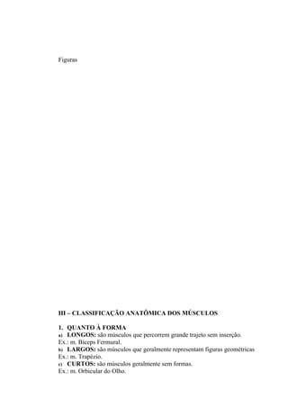 Figuras




III – CLASSIFICAÇÃO ANATÔMICA DOS MÚSCULOS

1. QUANTO À FORMA
a) LONGOS: são músculos que percorrem grande trajeto sem inserção.
Ex.: m. Bíceps Fermural.
b) LARGOS: são músculos que geralmente representam figuras geométricas
Ex.: m. Trapézio.
c) CURTOS: são músculos geralmente sem formas.
Ex.: m. Orbicular do Olho.
 