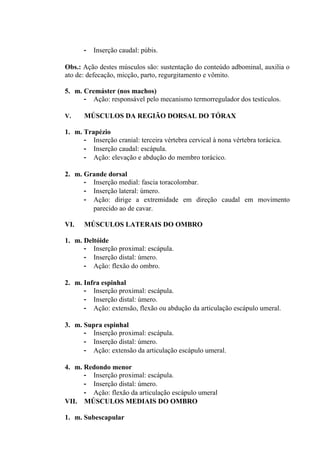 -   Inserção caudal: púbis.

Obs.: Ação destes músculos são: sustentação do conteúdo adbominal, auxilia o
ato de: defecação, micção, parto, regurgitamento e vômito.

5. m. Cremáster (nos machos)
      - Ação: responsável pelo mecanismo termorregulador dos testículos.

V.    MÚSCULOS DA REGIÃO DORSAL DO TÓRAX

1. m. Trapézio
      - Inserção cranial: terceira vértebra cervical à nona vértebra torácica.
      - Inserção caudal: escápula.
      - Ação: elevação e abdução do membro torácico.

2. m. Grande dorsal
      - Inserção medial: fascia toracolombar.
      - Inserção lateral: úmero.
      - Ação: dirige a extremidade em direção caudal em movimento
        parecido ao de cavar.

VI.   MÚSCULOS LATERAIS DO OMBRO

1. m. Deltóide
      - Inserção proximal: escápula.
      - Inserção distal: úmero.
      - Ação: flexão do ombro.

2. m. Infra espinhal
      - Inserção proximal: escápula.
      - Inserção distal: úmero.
      - Ação: extensão, flexão ou abdução da articulação escápulo umeral.

3. m. Supra espinhal
      - Inserção proximal: escápula.
      - Inserção distal: úmero.
      - Ação: extensão da articulação escápulo umeral.

4. m. Redondo menor
      - Inserção proximal: escápula.
      - Inserção distal: úmero.
      - Ação: flexão da articulação escápulo umeral
VII. MÚSCULOS MEDIAIS DO OMBRO

1. m. Subescapular
 