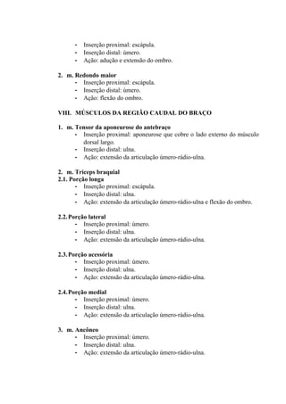 -   Inserção proximal: escápula.
      -   Inserção distal: úmero.
      -   Ação: adução e extensão do ombro.

2. m. Redondo maior
      - Inserção proximal: escápula.
      - Inserção distal: úmero.
      - Ação: flexão do ombro.

VIII. MÚSCULOS DA REGIÃO CAUDAL DO BRAÇO

1. m. Tensor da aponeurose do antebraço
      - Inserção proximal: aponeurose que cobre o lado externo do músculo
        dorsal largo.
      - Inserção distal: ulna.
      - Ação: extensão da articulação úmero-rádio-ulna.

2. m. Tríceps braquial
2.1. Porção longa
       - Inserção proximal: escápula.
       - Inserção distal: ulna.
       - Ação: extensão da articulação úmero-rádio-ulna e flexão do ombro.

2.2. Porção lateral
       - Inserção proximal: úmero.
       - Inserção distal: ulna.
       - Ação: extensão da articulação úmero-rádio-ulna.

2.3. Porção acessória
       - Inserção proximal: úmero.
       - Inserção distal: ulna.
       - Ação: extensão da articulação úmero-rádio-ulna.

2.4. Porção medial
       - Inserção proximal: úmero.
       - Inserção distal: ulna.
       - Ação: extensão da articulação úmero-rádio-ulna.

3. m. Ancôneo
      - Inserção proximal: úmero.
      - Inserção distal: ulna.
      - Ação: extensão da articulação úmero-rádio-ulna.
 