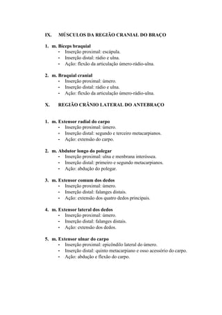 IX.   MÚSCULOS DA REGIÃO CRANIAL DO BRAÇO

1. m. Bíceps braquial
      - Inserção proximal: escápula.
      - Inserção distal: rádio e ulna.
      - Ação: flexão da articulação úmero-rádio-ulna.

2. m. Braquial cranial
      - Inserção proximal: úmero.
      - Inserção distal: rádio e ulna.
      - Ação: flexão da articulação úmero-rádio-ulna.

X.    REGIÃO CRÂNIO LATERAL DO ANTEBRAÇO


1. m. Extensor radial do carpo
      - Inserção proximal: úmero.
      - Inserção distal: segundo e terceiro metacarpianos.
      - Ação: extensão do carpo.

2. m. Abdutor longo do polegar
      - Inserção proximal: ulna e menbrana interóssea.
      - Inserção distal: primeiro e segundo metacarpianos.
      - Ação: abdução do polegar.

3. m. Extensor comum dos dedos
      - Inserção proximal: úmero.
      - Inserção distal: falanges distais.
      - Ação: extensão dos quatro dedos principais.

4. m. Extensor lateral dos dedos
      - Inserção proximal: úmero.
      - Inserção distal: falanges distais.
      - Ação: extensão dos dedos.

5. m. Extensor ulnar do carpo
      - Inserção proximal: epicôndilo lateral do úmero.
      - Inserção distal: quinto metacarpiano e osso acessório do carpo.
      - Ação: abdução e flexão do carpo.
 