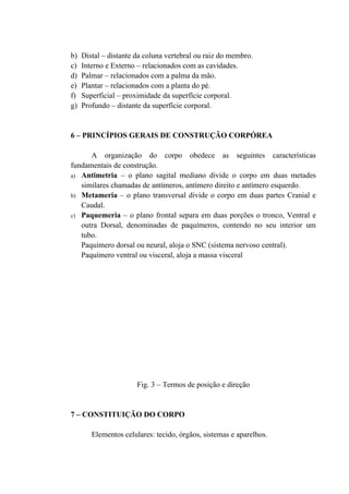 b)   Distal – distante da coluna vertebral ou raiz do membro.
c)   Interno e Externo – relacionados com as cavidades.
d)   Palmar – relacionados com a palma da mão.
e)   Plantar – relacionados com a planta do pé.
f)   Superficial – proximidade da superfície corporal.
g)   Profundo – distante da superfície corporal.


6 – PRINCÍPIOS GERAIS DE CONSTRUÇÃO CORPÓREA

      A organização do corpo obedece as seguintes características
fundamentais de construção.
a) Antimetria – o plano sagital mediano divide o corpo em duas metades
   similares chamadas de antímeros, antímero direito e antímero esquerdo.
b) Metameria – o plano transversal divide o corpo em duas partes Cranial e
   Caudal.
c) Paquemeria – o plano frontal separa em duas porções o tronco, Ventral e
   outra Dorsal, denominadas de paquímeros, contendo no seu interior um
   tubo.
   Paquímero dorsal ou neural, aloja o SNC (sistema nervoso central).
   Paquímero ventral ou visceral, aloja a massa visceral




                       Fig. 3 – Termos de posição e direção


7 – CONSTITUIÇÃO DO CORPO

        Elementos celulares: tecido, órgãos, sistemas e aparelhos.
 