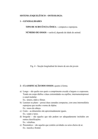 SISTEMA ESQUELÉTICO – OSTEOLOGIA

1 – GENERALIDADES

      TIPO DE SUBSTÂNCIA ÓSSEA – compacta e esponjosa.

      NÚMERO DE OSSOS – variável, depende da idade do animal.




           Fig. 4 – Secção longitudinal do úmero de um cão jovem




2 – CLASSIFICAÇÃO DOS OSSOS: quanto à forma.

a) Longo – são queles nos quais o comprimento excede a largura e a espessura.
   Tendo em corpo diáfise e duas extremidades ou espífise, internamentepossui
   o canal medular.
   Ex.: úmero, rádio e fêmur.
b) Laminar ou plano – possui duas camadas compactas, com uma intermediária
   esponjosa que recebe o nome de diploe.
   Ex.: ossos da cabeça.
c) Curto – as dimensões são aproximadamente iguais.
   Ex.: carpo e tarso.
d) Irregular – são aqueles que não podem ser adequadamente incluídos em
   outras classificações.
   Ex.: vértebras.
e) Pneumático – são aqueles que contém cavidades ou seios cheios de ar.
   Ex.: maxila e frontal.
 