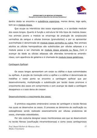 DEPERATAMETO DE MEDICINA VETERINÁRIA
                        Disciplina de Anatomia Descritiva dos Animais Domésticos I


dentro desta se encontra a substância esponjosa, menos densa, logo após,
tem-se a medula óssea.
      Que ocupa os interstícios dos ossos esponjosos, e a cavidade medular
dos ossos longos. Quanto à função e estrutura há três tipos de medula óssea:
nos animais jovens a medula se encarrega da produção de corpúsculos
vermelhos do sangue e células brancas (granulócitos) e por se apresentar
avermelhada é denominada de medula óssea vermelha ou rubra. Nos animais
adultos as células hemopoéticas são substituídas por células adiposas e a
medula passa a ser chamada de medula óssea amarela ou flava. Com o
avançar da idade as células adiposas são alteradas tornando-se amarelo-
róseo, com aparência de gelatina e é chamada de medula óssea gelatinosa.


Cartilagem Epifisial:


      Os ossos longos apresentam um corpo ou diáfise e duas extremidades
ou epífises. A porção de transição entre a epífise e a diáfise é denominada de
metáfise    e   neste    ponto       se    encontra         a    cartilagem          epifisial   que   por
desenvolvimento, multiplicação e substituição por tecido ósseo promove o
crescimento dos ossos em comprimento e com avançar da idade a cartilagem
desaparece e o osso deixa de crescer.


Desenvolvimento e crescimento dos ossos:


      O primitivo esqueleto embrionário consta de cartilagem e tecido fibroso
nos quais se desenvolve os ossos. O processo se denomina de ossificação ou
osteogêneses sendo realizado essencialmente por células produtoras de
ossos, chamadas osteoblastos.
      Por isto costuma designar ossos membranosos aos que se desenvolvem
no tecido fibroso (ossificação intramenbranosa) e como ossos cartilaginosos

Prof. Daniel Herbert de Menezes Alves                                                                   17
Medico Veterinário
 