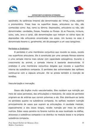 DEPERATAMETO DE MEDICINA VETERINÁRIA
                        Disciplina de Anatomia Descritiva dos Animais Domésticos I


epicôndilo. As saliências lineares são denominadas de: linhas, crista, espinha
e promontório. Freas lisas na superfície óssea, articulares ou não, são
conhecidas como: Asa, ramo ou lâmina. Depressões, articulares ou não, são
denominadas: cavidades, fossas, fossetas ou fóveas. Já as Fissuras, incisura,
sulco, colo, arco e canal, são denominações que indicam os vários tipos de
depressões não articulares encontradas nos ossos. Um buraco no osso é
denominado forame e, geralmente, ele dá passagem a um vaso sangüíneo.


Periósteo e Endósteo:
      O periósteo é uma membrana conjuntiva que reveste os ossos, exceto
nas superfícies articulares. Ele é constituído por uma camada fibrosa externa
e uma camada interna mais celular com capacidade osteogênica. Durante o
crescimento do animal, a camada interna é bastante desenvolvida. O
endósteo é uma membrana conjuntiva delgada que reveste a superfície
interna da substância compacta. O periósteo das extremidades das epífeses
continua-se com a cápsula articular. Ele se presta também à inserção de
tendões.


Vascularização e inervação:


      Ossos são órgãos muito vascularizados. Eles recebem sua nutrição por
meio de vasos periostais, das articulações e medulares. Os vasos do periósteo
originam-se de artérias que correm próximas a ele. Eles distribuem-se tanto
no periósteo quanto na substância compacta. As epífises recebem nutrição
principalmente de vasos que suprem as articulações. A cavidade medular,
especialmente a dos ossos longos, recebe nutrição por meio da artéria
nutrícia. Estes vasos penetra no forame nutrício do osso localizado na diáfise,
atravessa a substância compacta e se distribui na medula óssea e na própria
substância compacta.

Prof. Daniel Herbert de Menezes Alves                                                19
Medico Veterinário
 