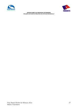 DEPERATAMETO DE MEDICINA VETERINÁRIA
                        Disciplina de Anatomia Descritiva dos Animais Domésticos I




Prof. Daniel Herbert de Menezes Alves                                                27
Medico Veterinário
 