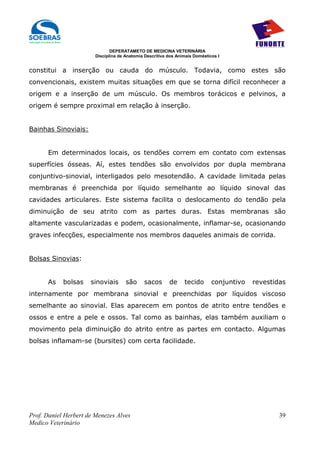 DEPERATAMETO DE MEDICINA VETERINÁRIA
                        Disciplina de Anatomia Descritiva dos Animais Domésticos I


constitui a inserção ou cauda do músculo. Todavia, como estes são
convencionais, existem muitas situações em que se torna difícil reconhecer a
origem e a inserção de um músculo. Os membros torácicos e pelvinos, a
origem é sempre proximal em relação à inserção.


Bainhas Sinoviais:


      Em determinados locais, os tendões correm em contato com extensas
superfícies ósseas. Aí, estes tendões são envolvidos por dupla membrana
conjuntivo-sinovial, interligados pelo mesotendão. A cavidade limitada pelas
membranas é preenchida por líquido semelhante ao líquido sinoval das
cavidades articulares. Este sistema facilita o deslocamento do tendão pela
diminuição de seu atrito com as partes duras. Estas membranas são
altamente vascularizadas e podem, ocasionalmente, inflamar-se, ocasionando
graves infecções, especialmente nos membros daqueles animais de corrida.


Bolsas Sinovias:


      As    bolsas    sinoviais       são     sacos       de     tecido       conjuntivo   revestidas
internamente por membrana sinovial e preenchidas por líquidos viscoso
semelhante ao sinovial. Elas aparecem em pontos de atrito entre tendões e
ossos e entre a pele e ossos. Tal como as bainhas, elas também auxiliam o
movimento pela diminuição do atrito entre as partes em contacto. Algumas
bolsas inflamam-se (bursites) com certa facilidade.




Prof. Daniel Herbert de Menezes Alves                                                              39
Medico Veterinário
 